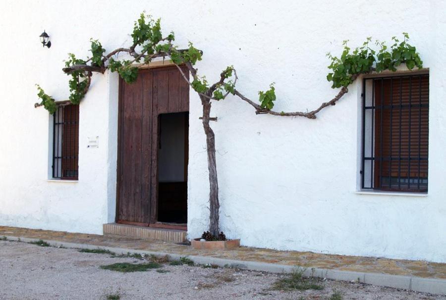 Casa Rural Casa Maxima Yecla Zimmer foto